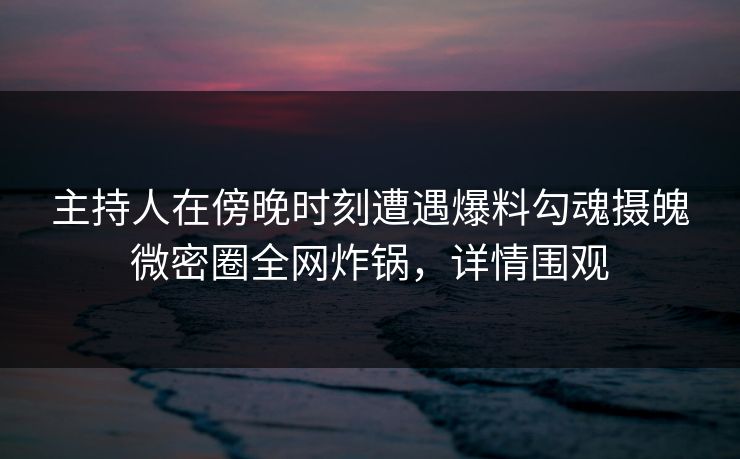 主持人在傍晚时刻遭遇爆料勾魂摄魄微密圈全网炸锅，详情围观