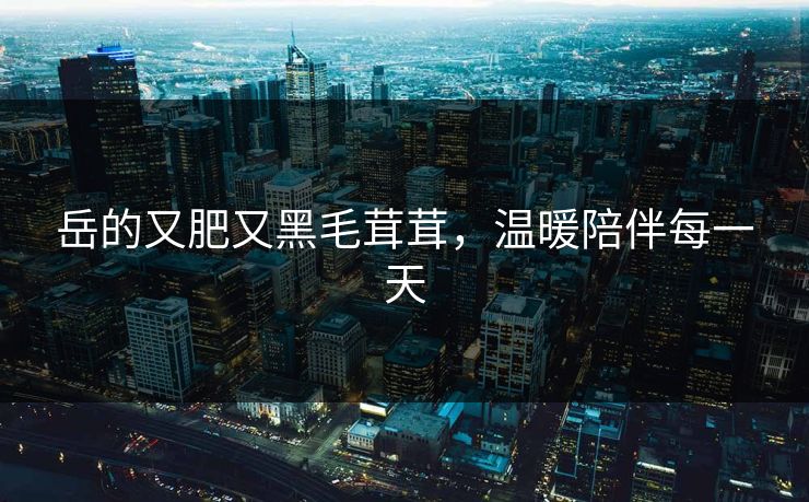 岳的又肥又黑毛茸茸，温暖陪伴每一天