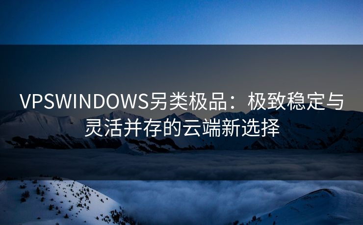 VPSWINDOWS另类极品：极致稳定与灵活并存的云端新选择