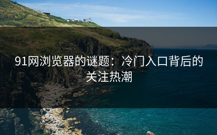 91网浏览器的谜题：冷门入口背后的关注热潮